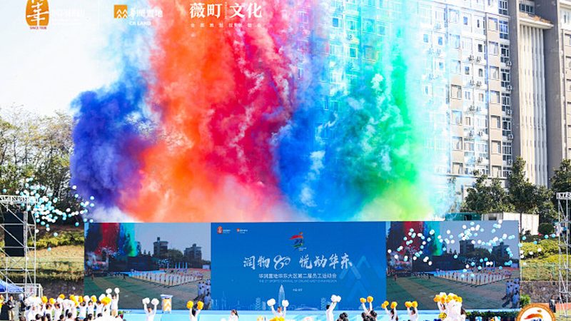VI设计套餐通常包括以下内容：